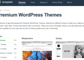 WordPress Themes Club